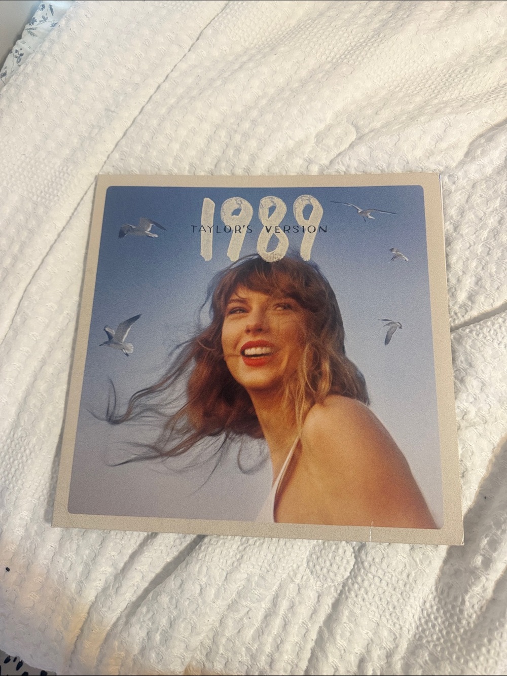 Taylor Swift Light Blue & Beige 1989 Album Cover Art